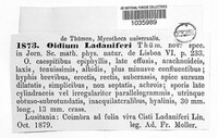 Image Associated With the Occurence